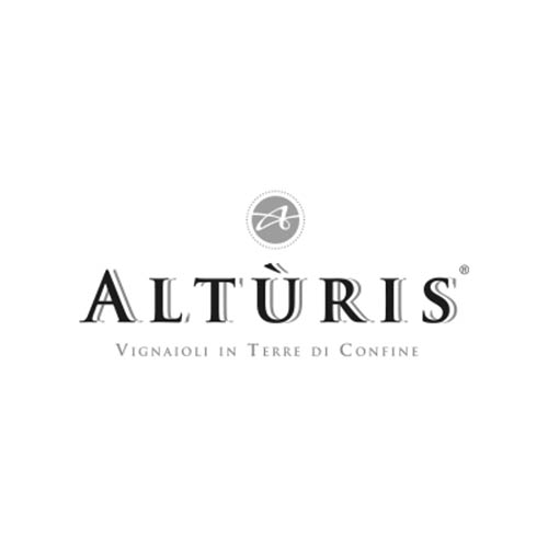 winebox alturis vino