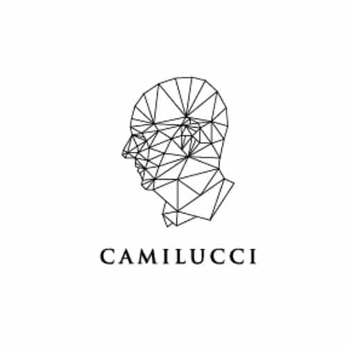 winebox camilucci logo